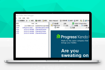【亲测可用】Fiddler Web Debugger v5.0 中文破解版免费下载