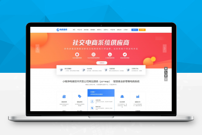 蓝色小程序电商软件开发公司网站源码（pc+wap） 小程序网站pbootcms模板