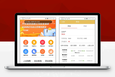 VUE的股票配资系统/点策略