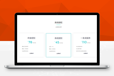 一款简洁大气的官网源码