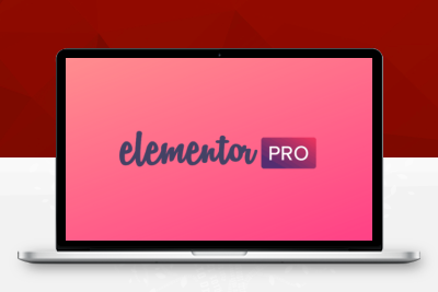 WP前端页面构建器插件：Elementor Pro v3.6.1 + Elementor v3.5.5汉化版已激活